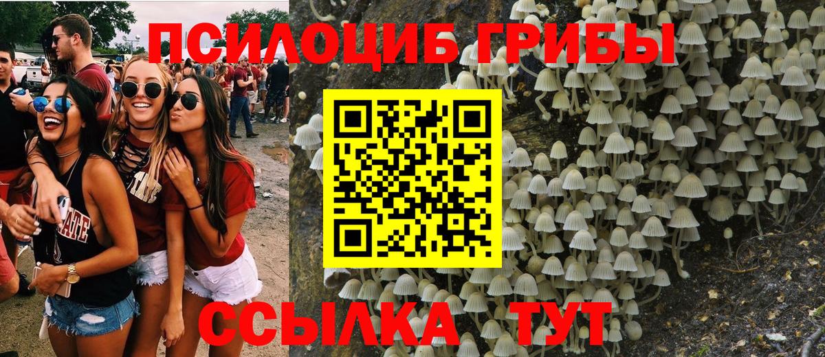 Крымск  Галлюциногенные грибы Magic Shrooms  Вход с VPN 